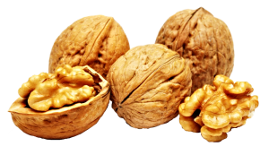 walnuts-_2a